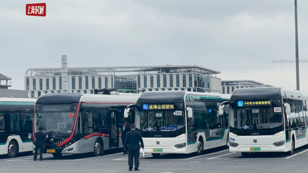 视频 | 第四届进博会开幕在即 这份地铁搭乘攻略请查收